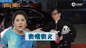 天涯八卦爆料成龙情事视频,揭秘娱乐圈“大哥”背后的情感纠葛